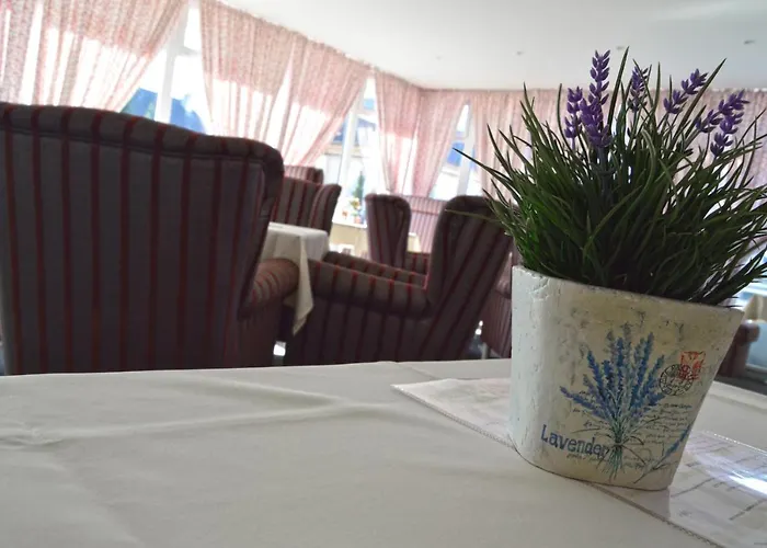 Batovka U Hoffera בית הארחה 4*